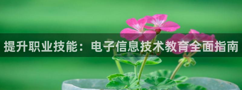 j9九游会官网登录入口|提升职业技能：电子信息技术教育全面指南